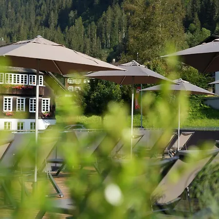 Bergkristall 4* سيلبيرتال